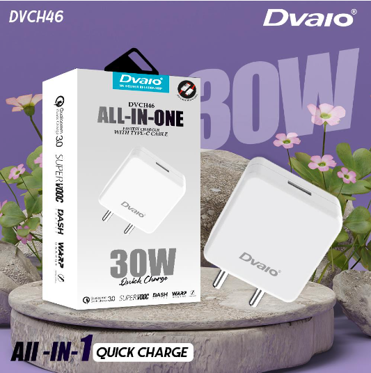 Dvaio 30W All in one Charger-Type C